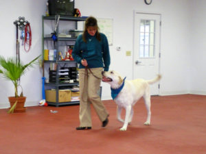 Robyn and Jack training